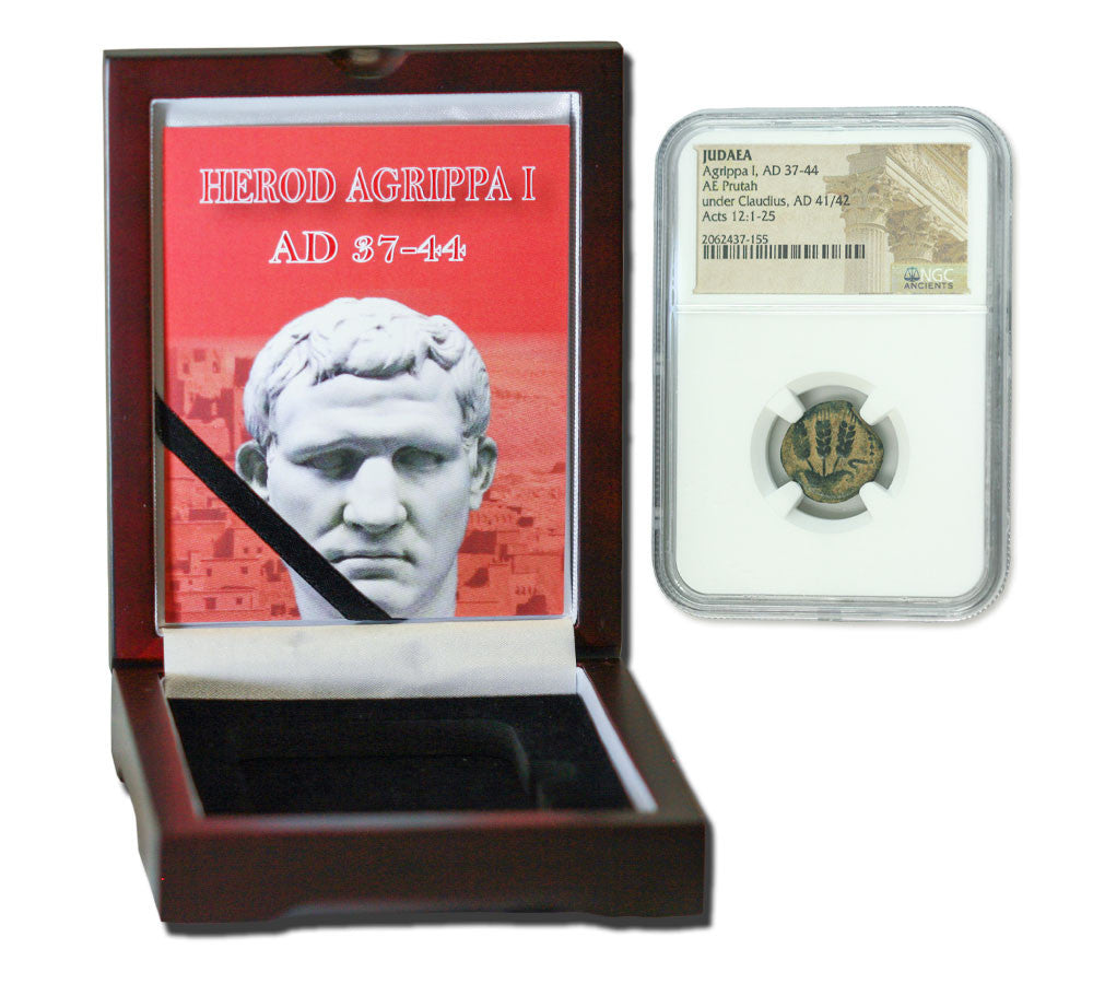 Agrippa First Judaea Bronze Prutah NGC Certified Slab Boxed Coin Collection (High grade)